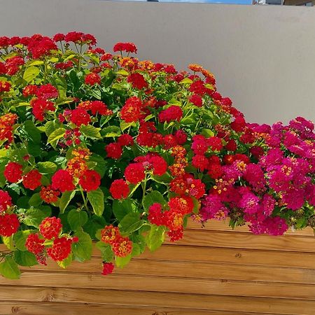 The Little Big Apartment In The Heart Of Heraklion Екстериор снимка