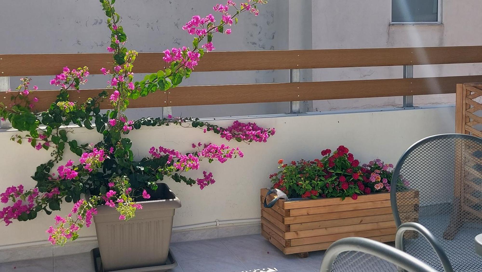 The Little Big Apartment In The Heart Of Heraklion Екстериор снимка